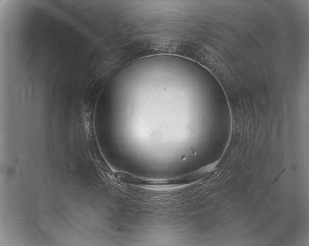 X0000073421154200608041017