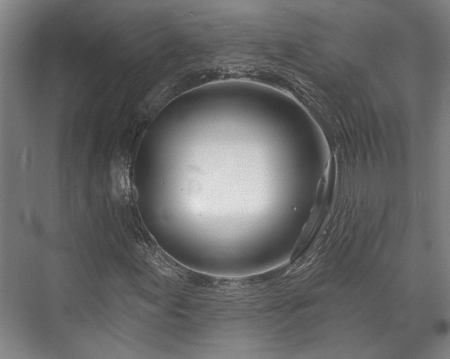 X0000073421155200608041017