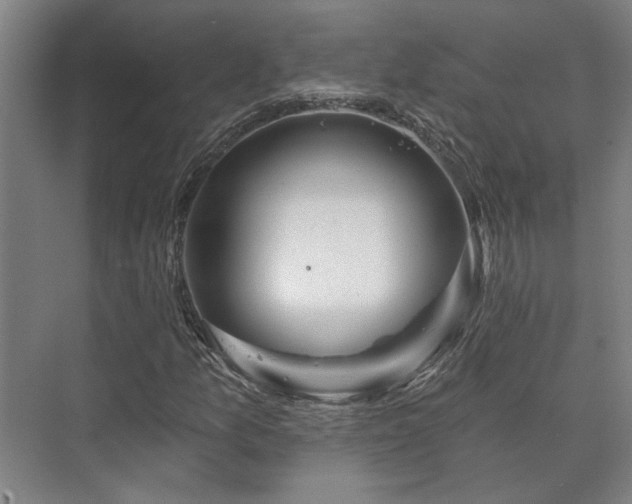 X0000073421157200608041017