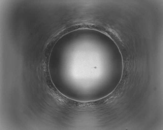 X0000073421159200608041017