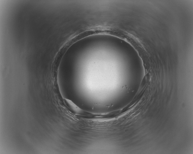 X0000073421160200608041017