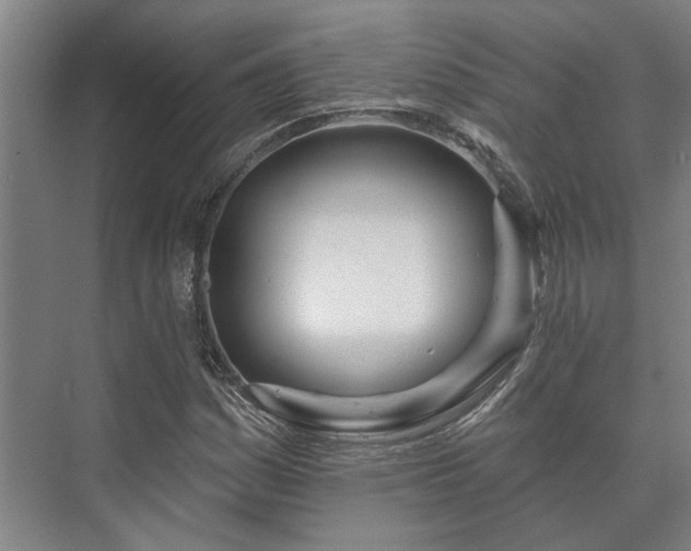 X0000073421161200608041017