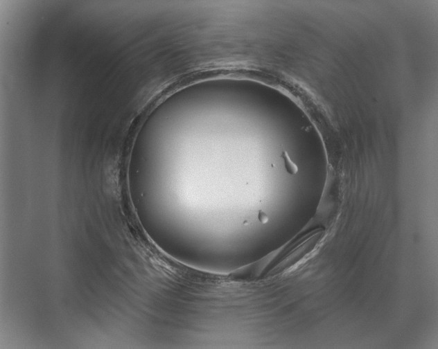 X0000073421162200608041017