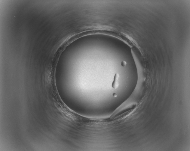 X0000073421163200608041017