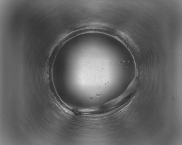 X0000073421164200608041017