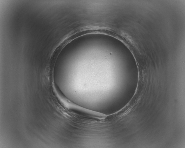 X0000073421165200608041017