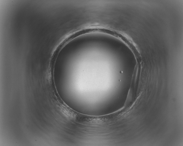 X0000073421167200608041017