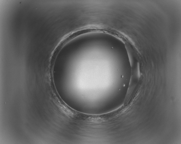 X0000073421168200608041017