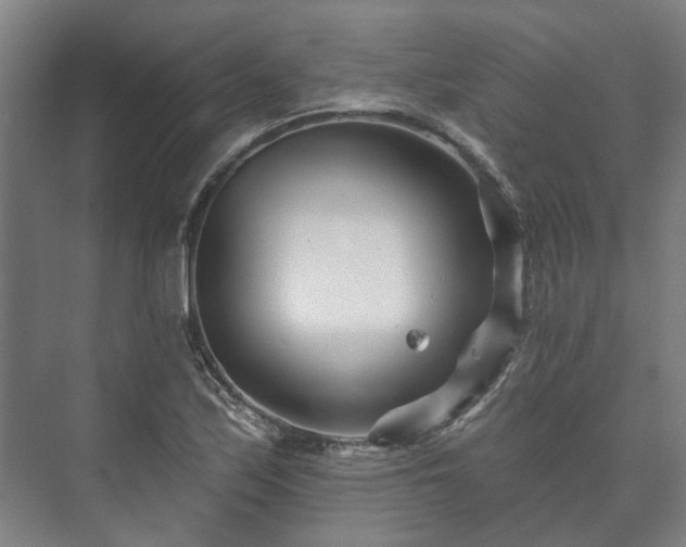 X0000073421171200608041016