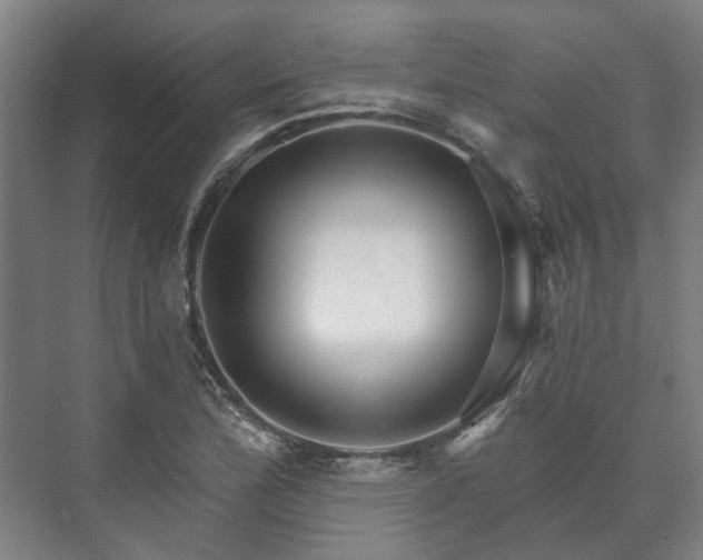 X0000073421172200608041016