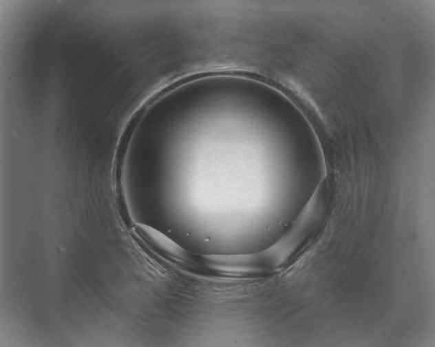 X0000073421173200608041016