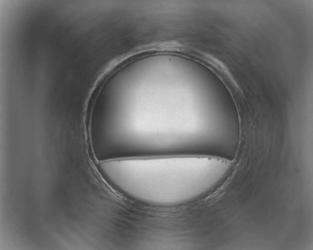 X0000073421176200608041016