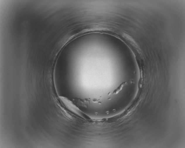 X0000073421177200608041016