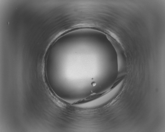 X0000073421179200608041016