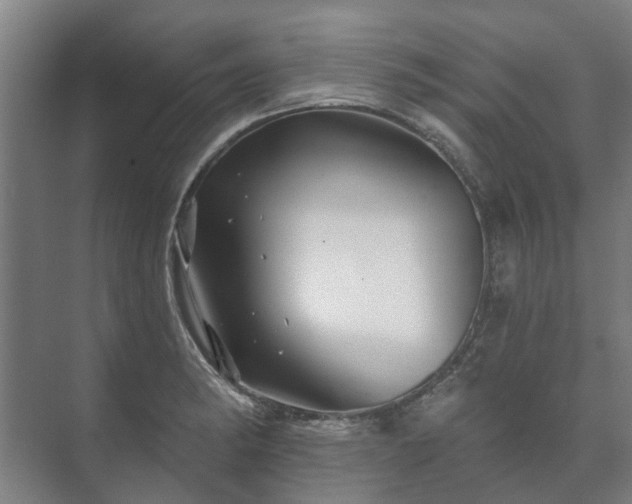 X0000073421182200608041016