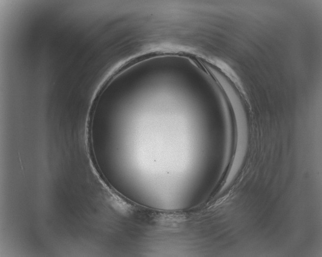 X0000073421183200608041016