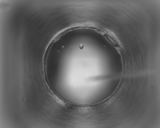 X0000073421184200608041016