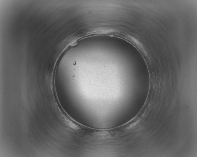 X0000073421186200608041016