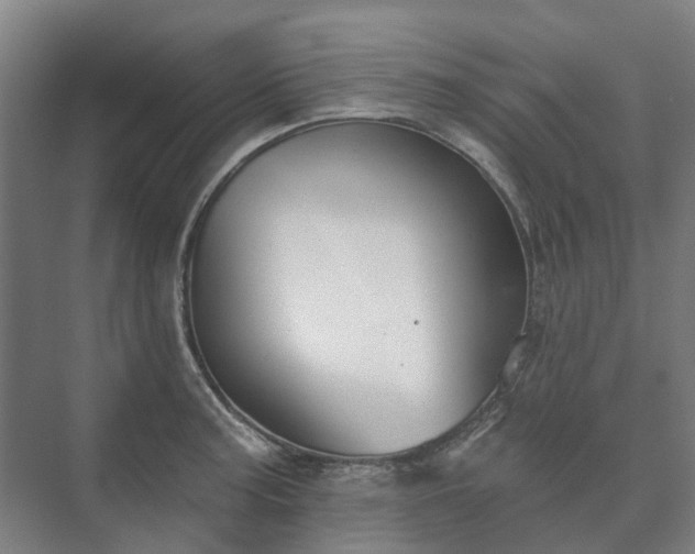 X0000073421187200608041016