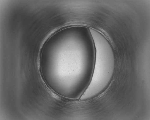 X0000073421188200608041016