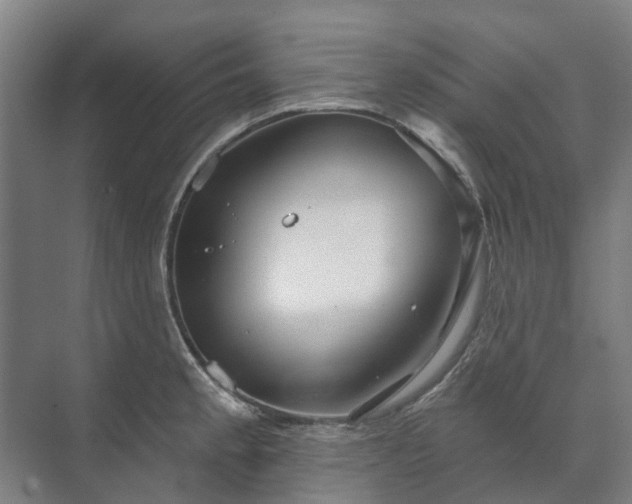 X0000073421189200608041016