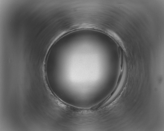 X0000073421190200608041016