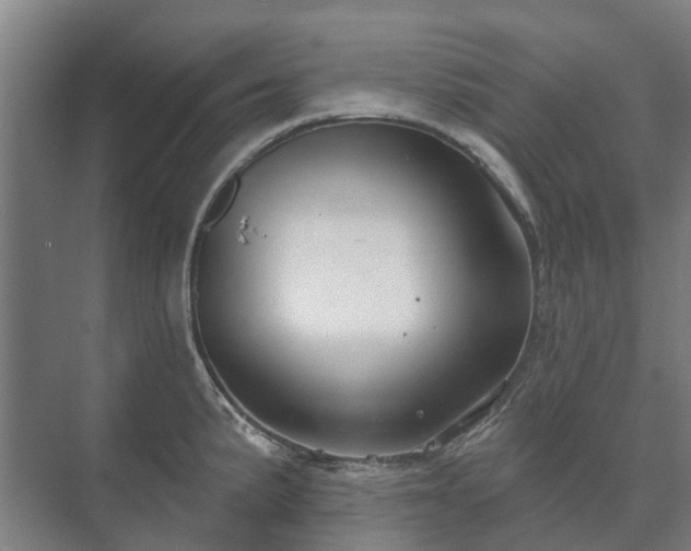 X0000073421191200608041016