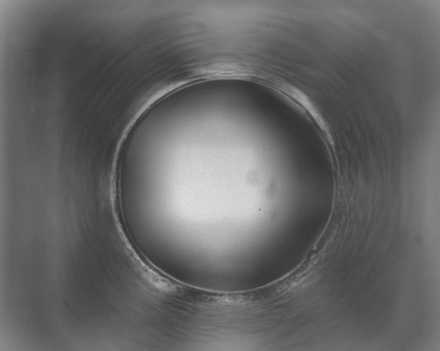 X0000073421195200608041016