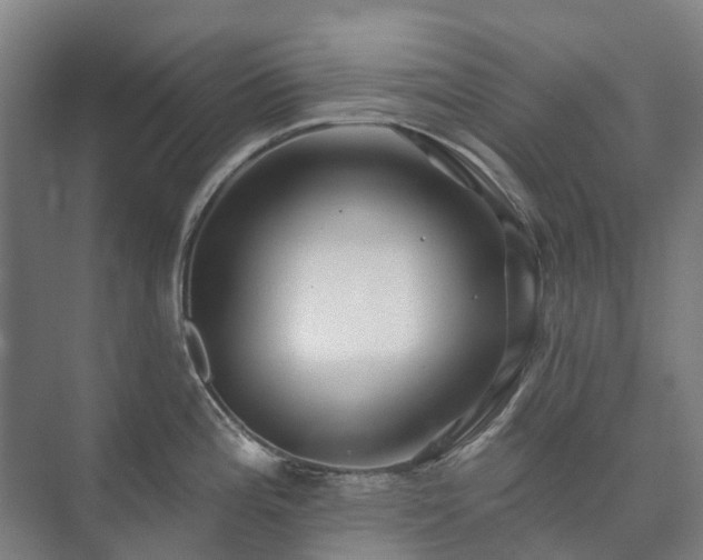 X0000073421196200608041016