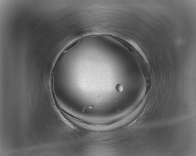 X0000073421197200608041016