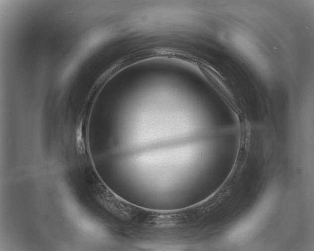 X0000073421198200608041016