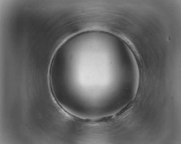 X0000073421199200608041016