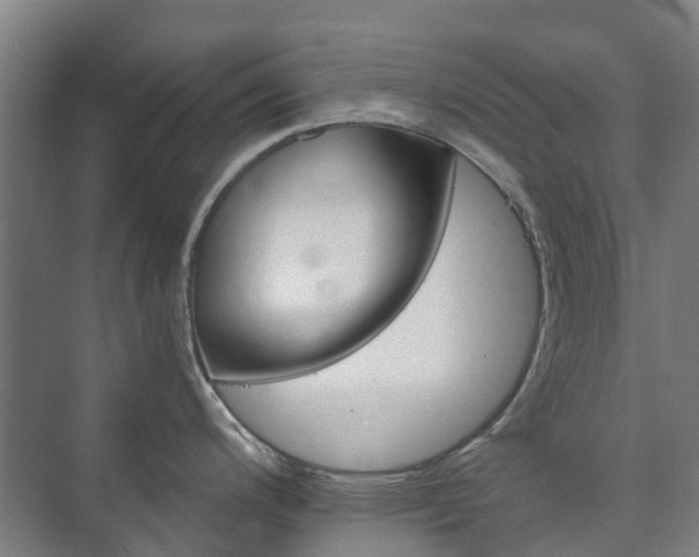 X0000073421200200608041016