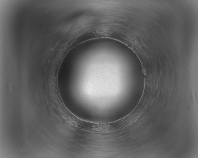 X0000073421201200608041015