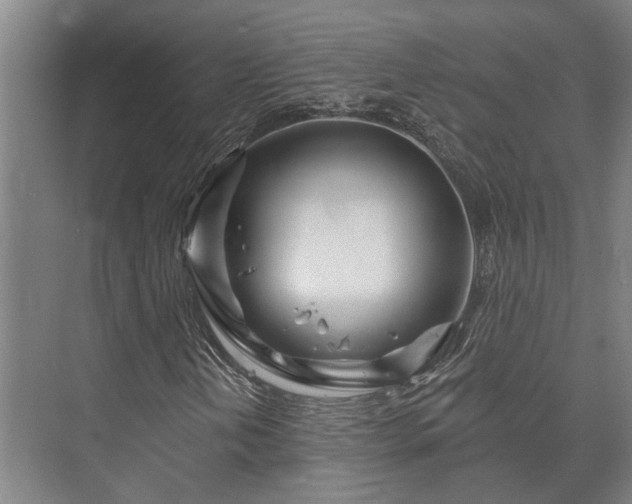 X0000073421202200608041015