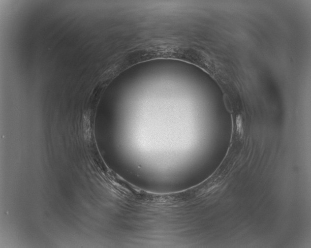 X0000073421203200608041015