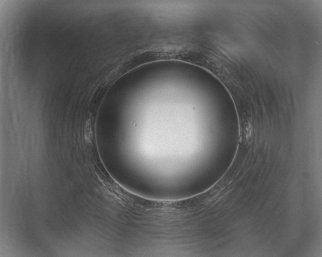 X0000073421204200608041015