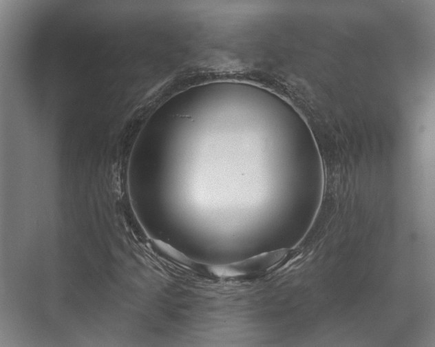 X0000073421205200608041015