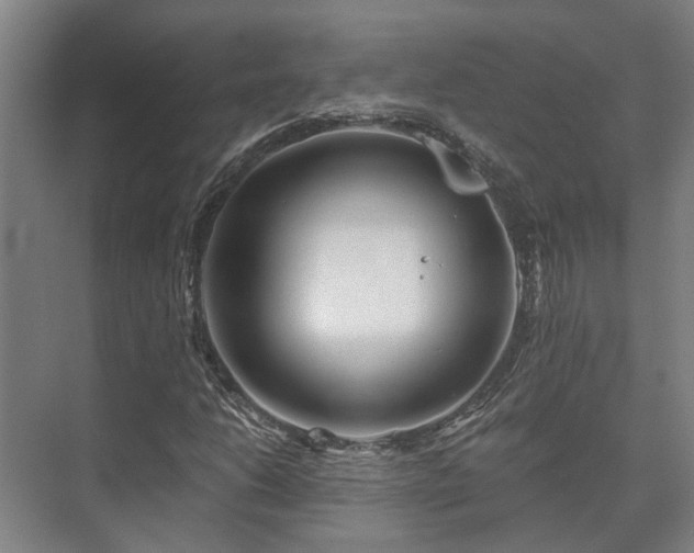 X0000073421206200608041015