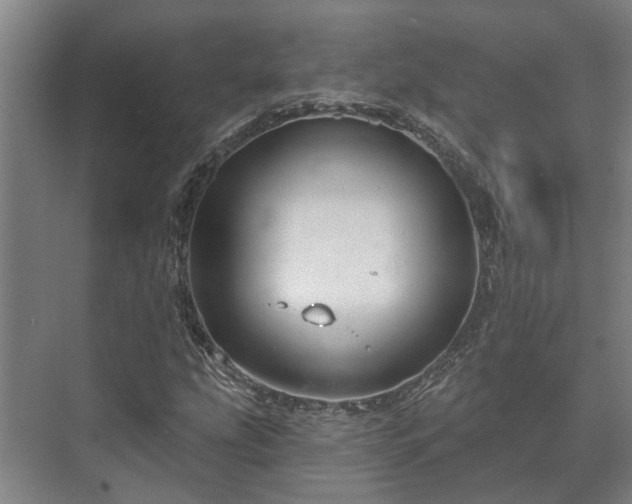 X0000073421207200608041015