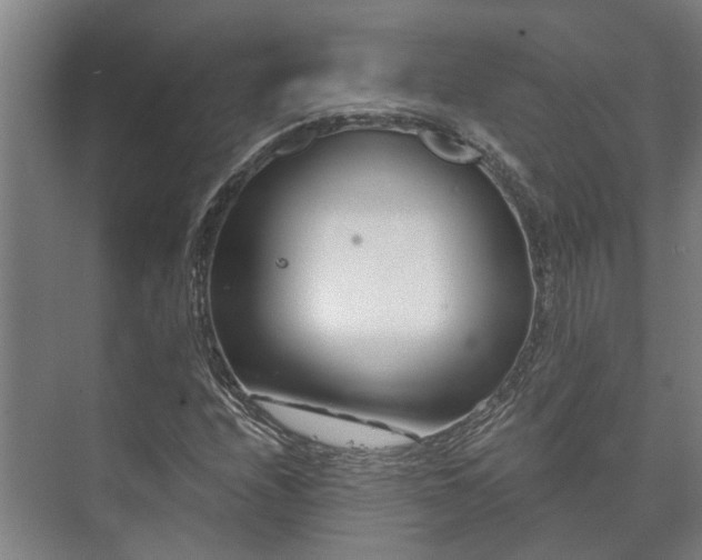 X0000073421208200608041015