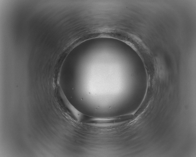 X0000073421209200608041015