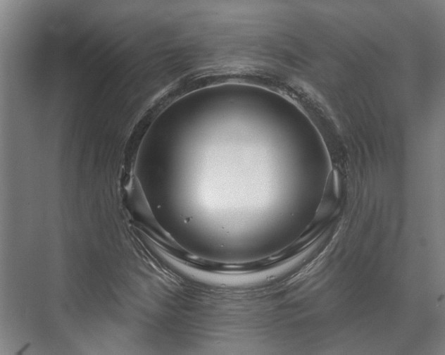 X0000073421210200608041015