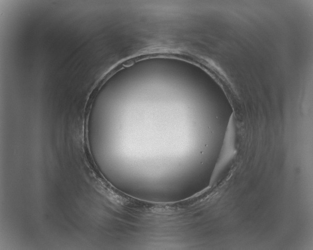 X0000073421220200608041016