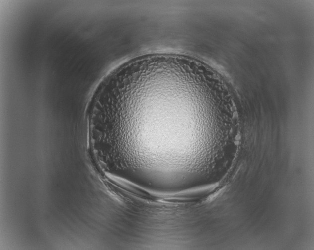 X0000073421223200608041016