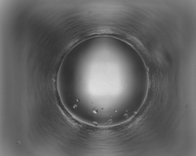 X0000073421225200608041016