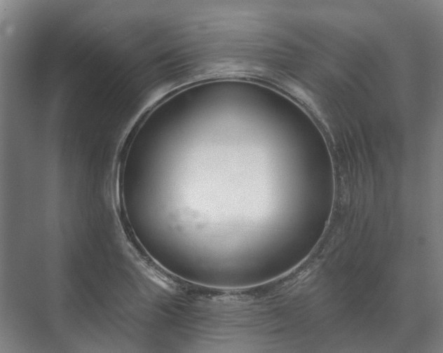 X0000073421227200608041016