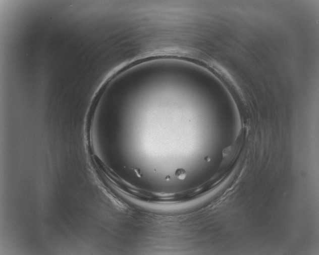 X0000073421230200608041016