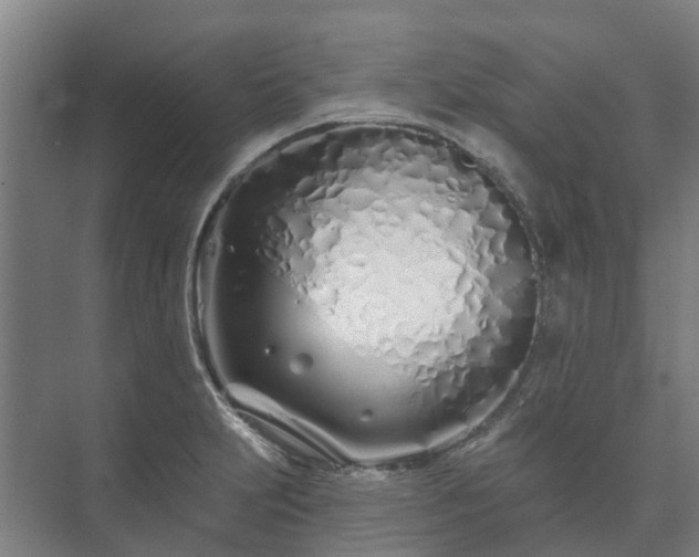 X0000073421231200608041016