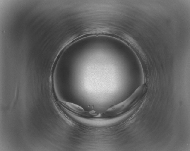 X0000073421234200608041016